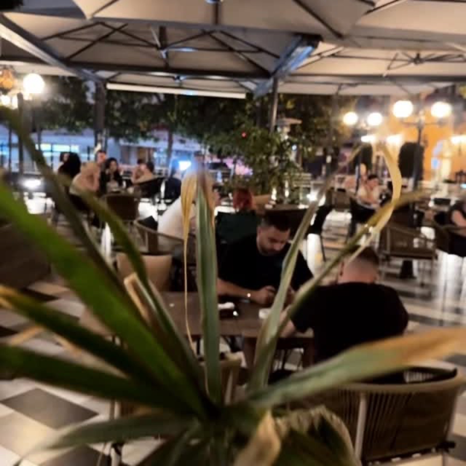 Ambienti i TOKË Lounge në mbrëmje, pranë Liqenit të Thatë në Tiranë